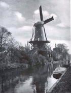 molen de roos